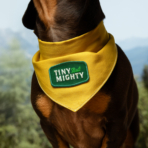 Tiny but Mighty iron-on patch for pets