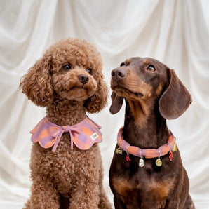 Lola Neck Bandana | Vichy Violet