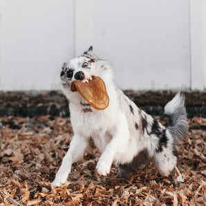 Rub Air Dog Toy