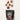 Freeze-Dried Beef Lung