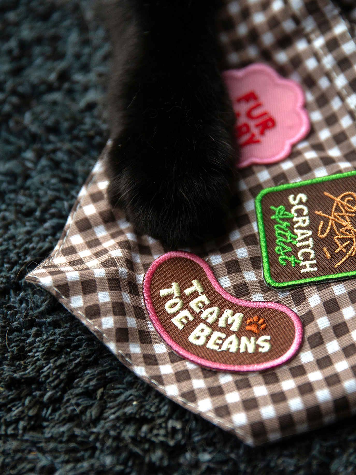 Team Toe Beans iron-on patch for pets