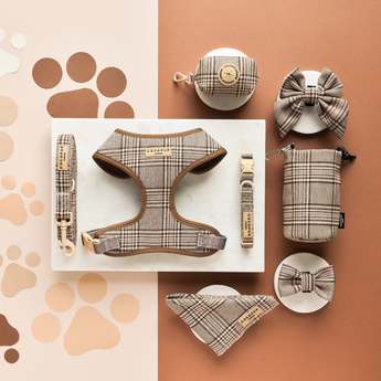 Complete Pup Plaid walking set with the poop bag holder at top left