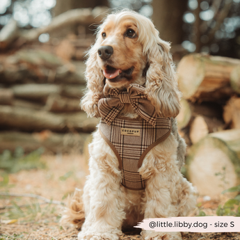 Cream cocker spaniel wearing the Pup Plaid harness beside stacked logs