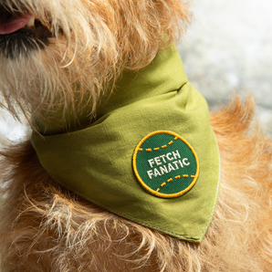 Fetch Fanatic iron- on patch for dogs