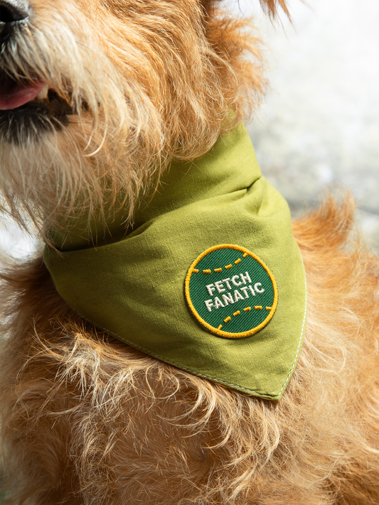 Fetch Fanatic iron- on patch for dogs
