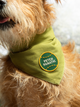 Fetch Fanatic opstrijkpatch