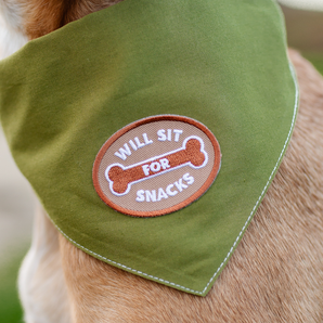 Will Sit For Snacks iron-on patch for dogs