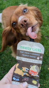 Brown dog licking a Roast Beef Meaty Licks peanut butter pouch outdoors