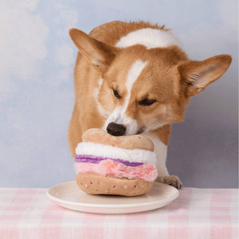 Dog sniffing the Bagel and Lox interactive snuffle toy on a plate