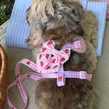Close-up van een grijze hond met Strawberry Picnic Pup strik en roze tuig
