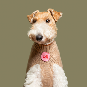 Fur Baby iron-on patch for dogs