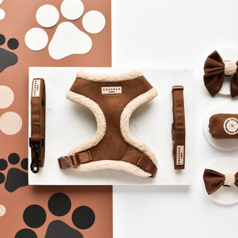 Brown Aviator lead laid beside the matching harness and brown bow ties