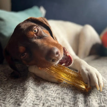 Wag & Bright Mighty Marrows collagen dental chews: Bacon, Spirulina Beef