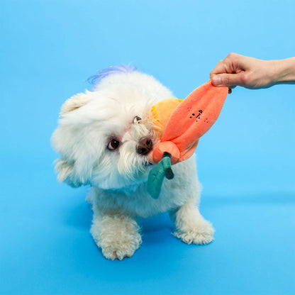 Orange Nosework Toy