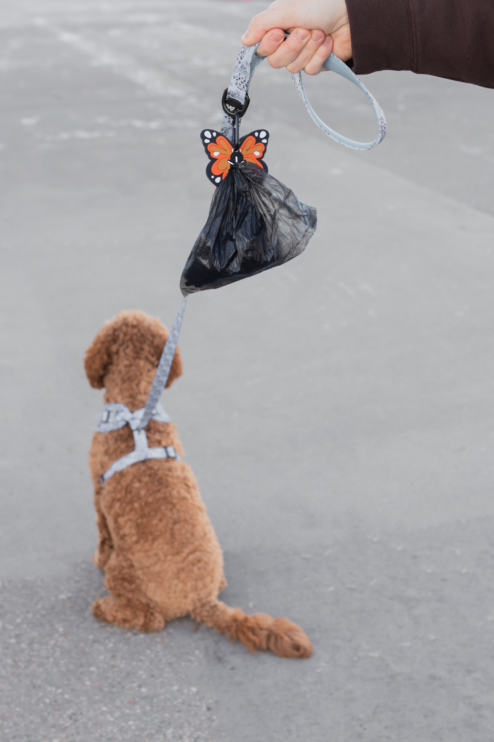 Butterfly Poopy Loop - Dog Poop Bag Holder