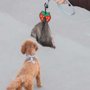 Strawberry Poopy Loop - Dog Waste Bag Holder