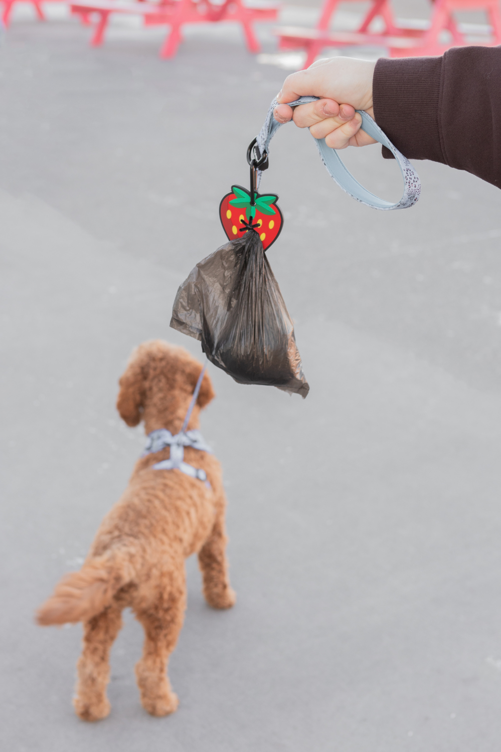 Strawberry Poopy Loop - Dog Waste Bag Holder