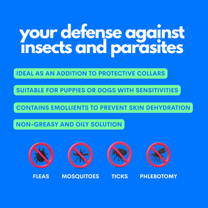 Bye Bye Buzz Protective Repellent Spray