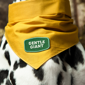 Gentle Giant iron-on patch for pets
