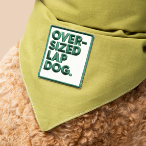 Oversized Lap Dog iron-on patch for dogs