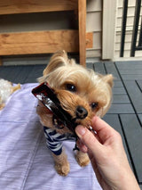 Wag & Bright Mighty Marrows collagen dental chews: Bacon, Beef Liver, Spirulina Beef