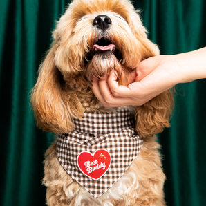 Best Buddy iron-on patch for dogs