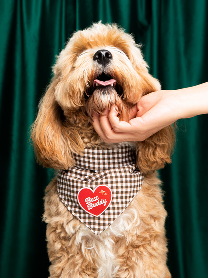 Best Buddy iron-on patch for dogs
