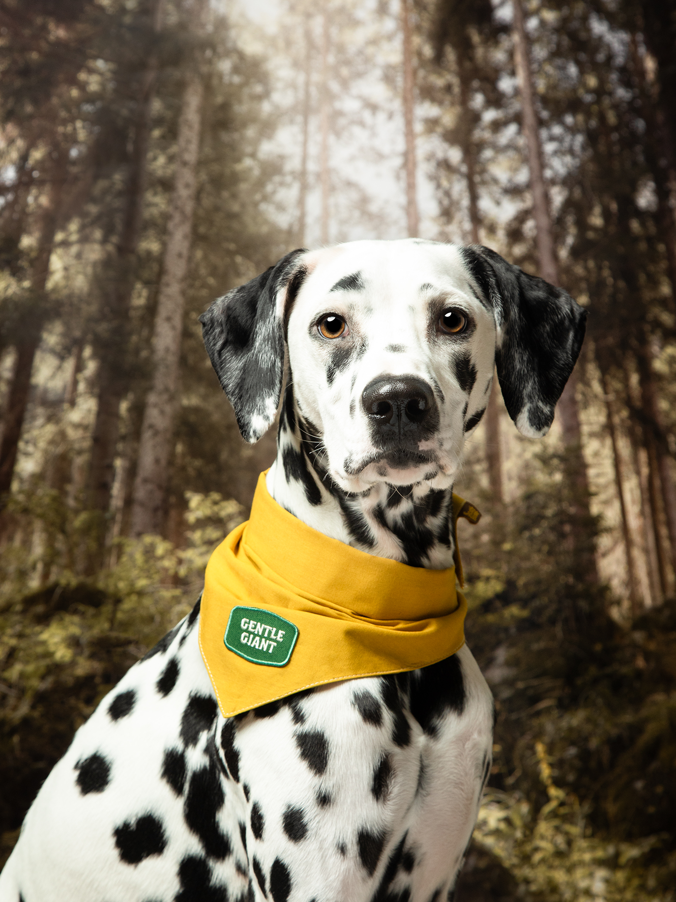 Gentle Giant iron-on patch for pets
