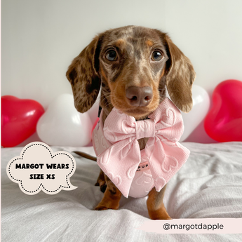 Brown dachshund sitting indoors wearing the Cocopup London Baby Pink Heart Luxe Sailor Bow Tie