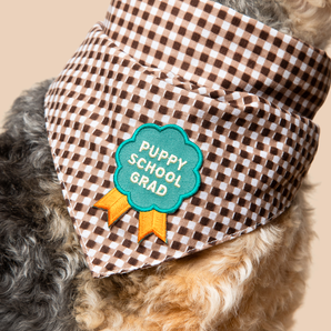 Puppy School Grad iron-on patch for dogs