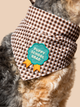 Puppy School Grad Opstrijkpatch