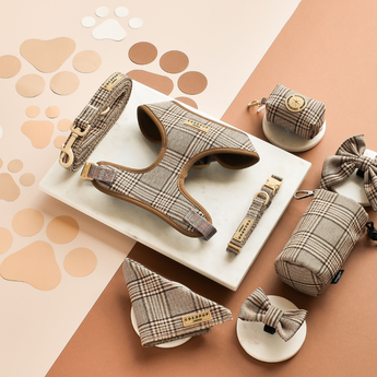 Full Pup Plaid walking set arranged on a peach and cream background