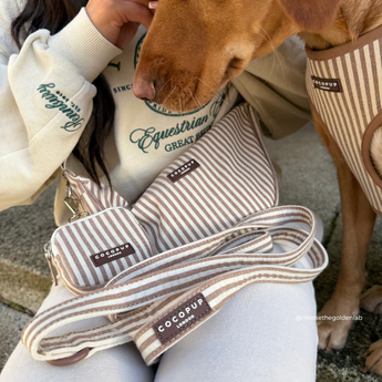 London Linen Stripes lead and matching walking accessories resting on a lap beside a brown dog, by Cocopup London