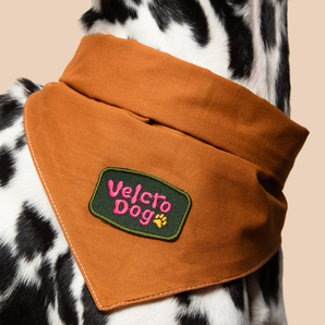 Velcro Dog iron-on patch for dogs
