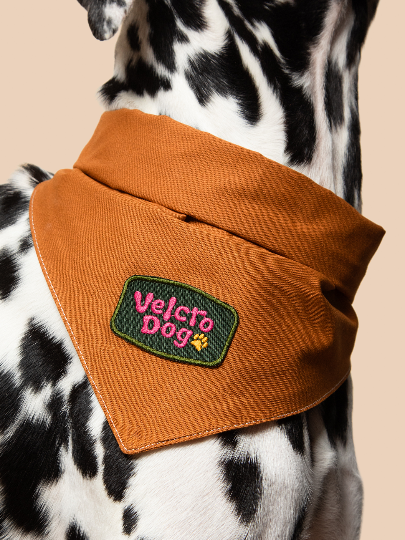 Velcro Dog iron-on patch for dogs