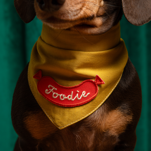 Foodie iron-on patch for dogs