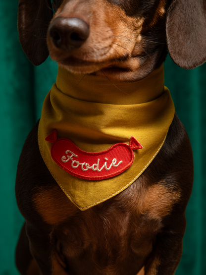 Foodie iron-on patch for dogs