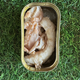 Natuurlijke Zalm - 120g Blik