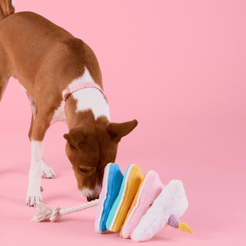 Animated demonstration of a dog searching the Birthday Cake snuffle toy