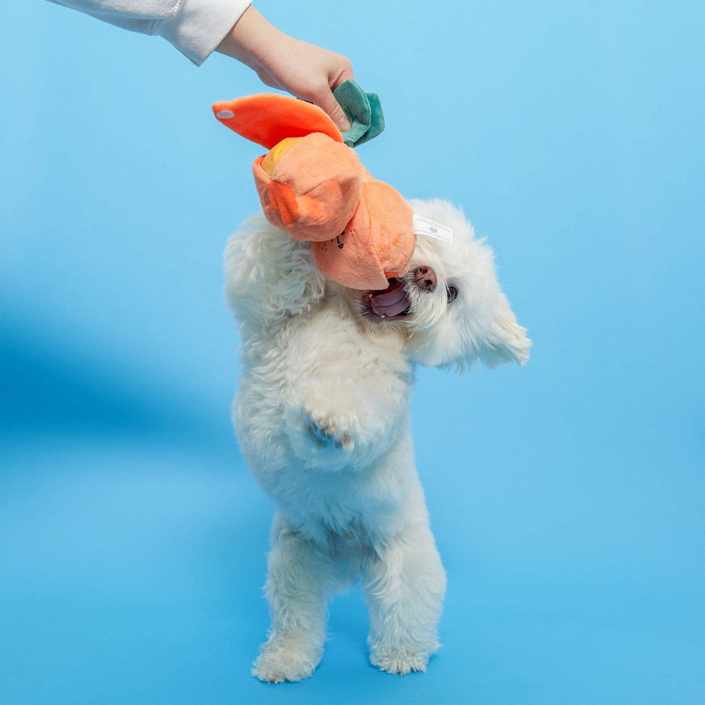 Orange Nosework Toy