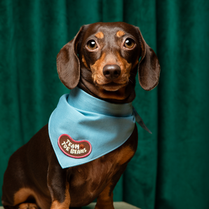 Team Toe Beans iron-on patch for pets