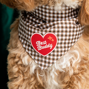 Best Buddy iron-on patch for dogs