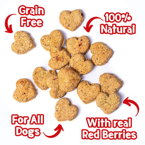 Love Bix - Heart Shaped Red Berries Biscuits