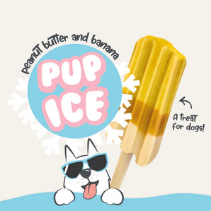 Pup Ice Lolly