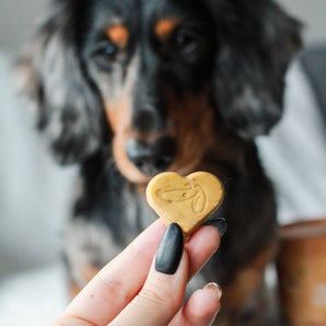 Shining Coat - Functional Cookies