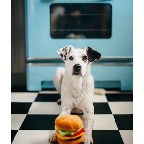 P.L.A.Y American Classic Barky Burger