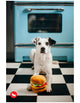 P.L.A.Y American Classic Barky Burger