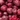 Crunchy Fruit Organic Cherry