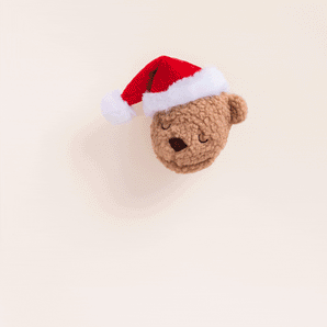 Santa Teddy Bear 2-in-1 Bounce Dog Toy