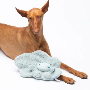 AromaStories - Mok Mok